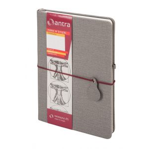 Notes Antra Renesans A5/96/80g kratka, Szary